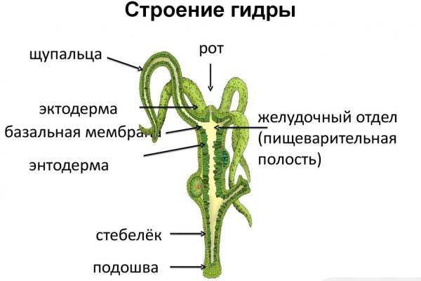 Сайты даркнета список на русском торговые площадки