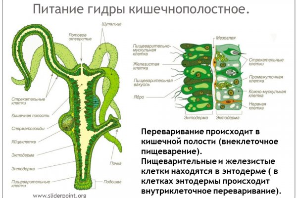 Omg сайт зайти